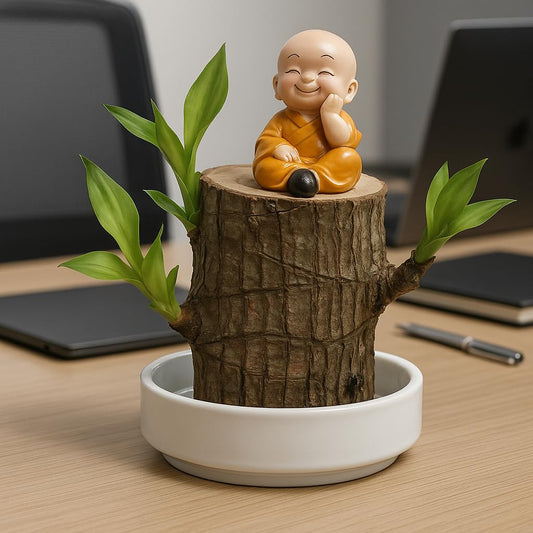 Brazilian Lucky Wood, Mini Home Plant Decorations
